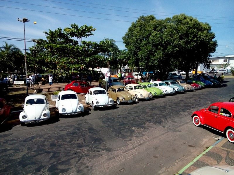 Penápolis e região: clubes de carros antigos comemoram o Dia Nacional do Fusca