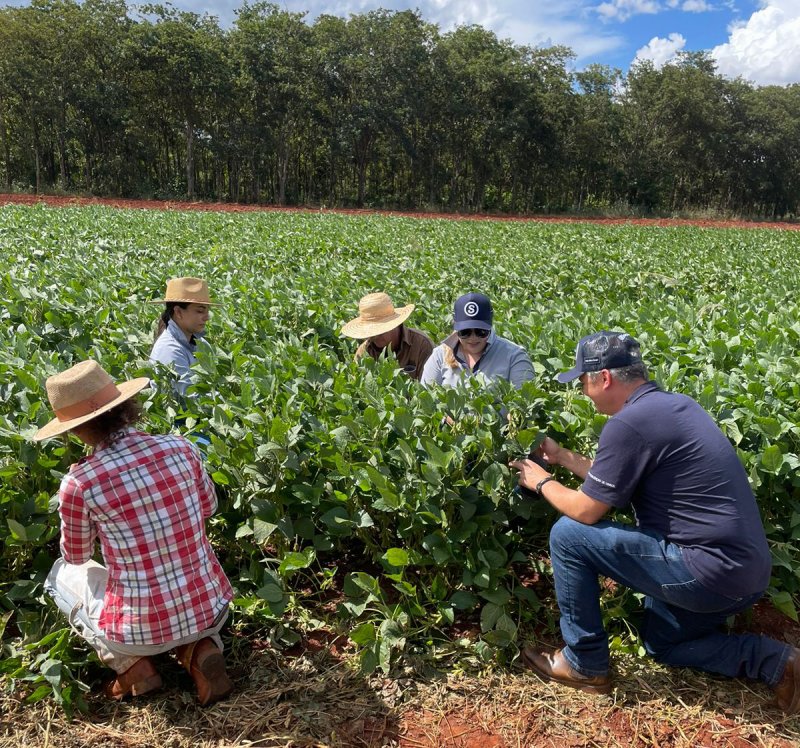 SOCAFÉ e Unesp de Ilha Solteira realizam 1° Dia de Campo para produtores e alunos