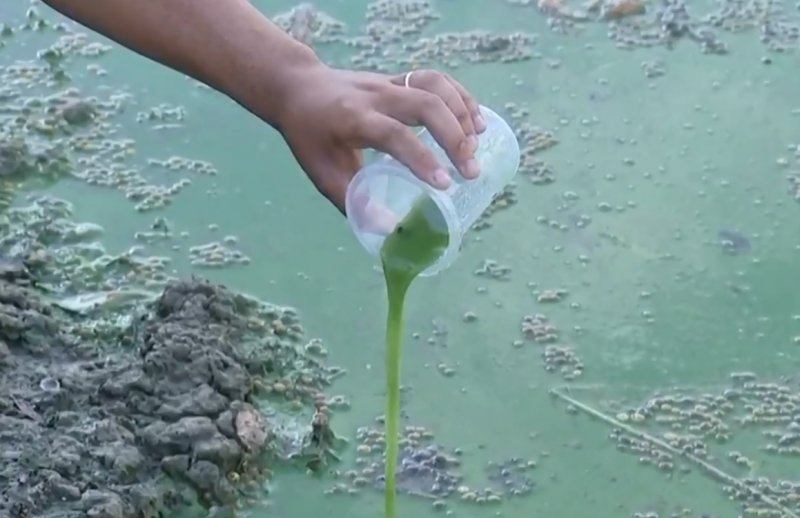 Ribeirão: água verde no 