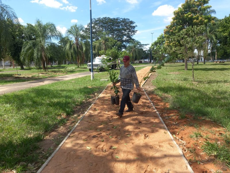 Consórcio Intermunicipal do Ribeirão Lajeado realiza plantio de 122 árvores nativas no parque Maria Chica
