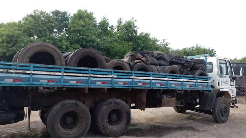 Reciclagem e combate à dengue: Daep coleta 3 toneladas de pneus