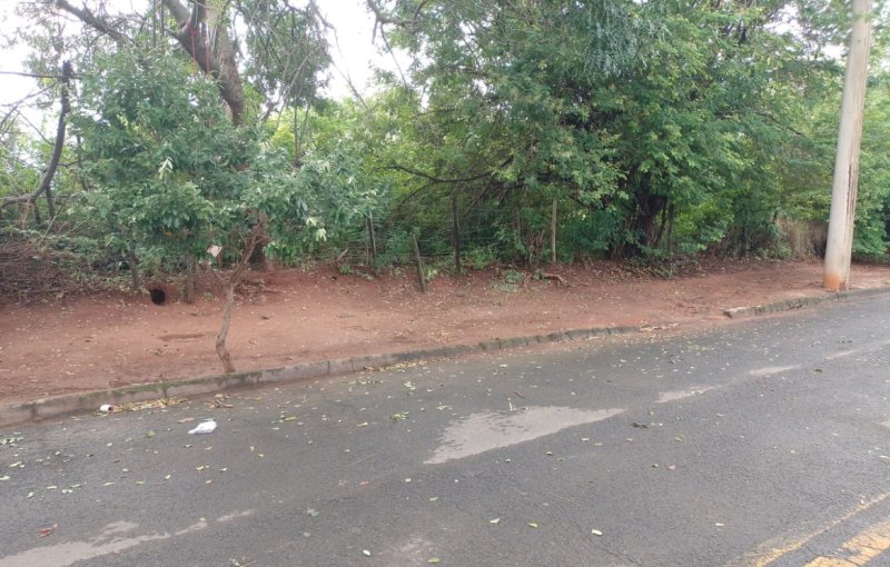 Daep realiza limpeza e monitoramento contra descarte irregular de resíduos