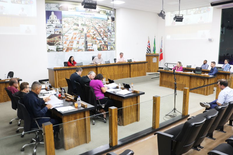 Mudanças partidárias: vereadores definem novos partidos no 