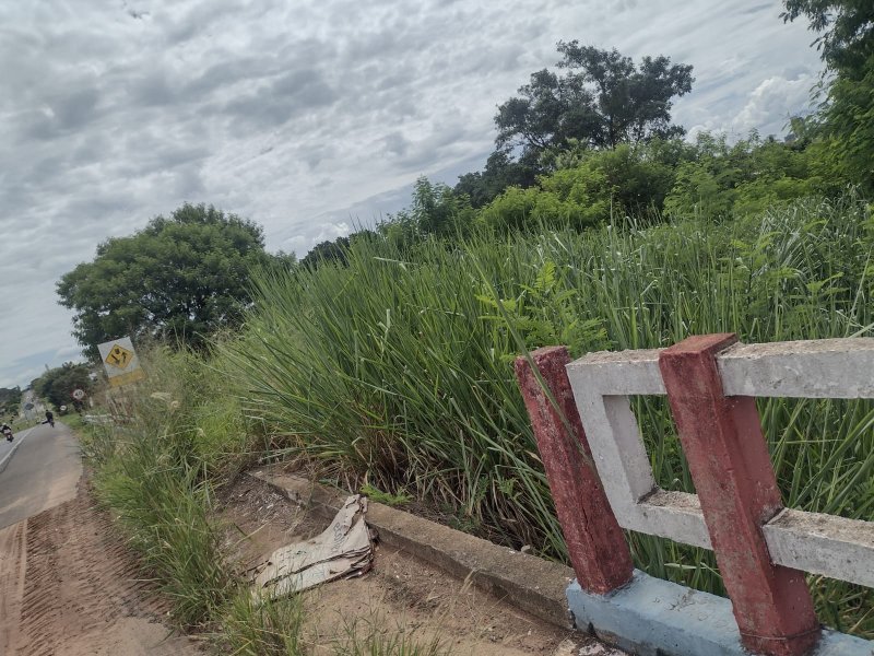 Linha férrea: pedido defende medidas contra desleixo em trechos