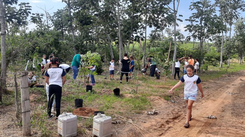 Daep promove ações educativas e práticas para conservação do solo