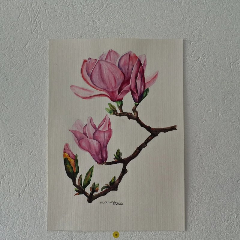 Biblioteca da Funepe promove exposição de arte