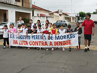 FORA DENGUE