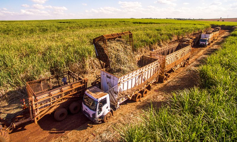 Penápolis: geração de empregos cresce 82% entre fevereiro e março