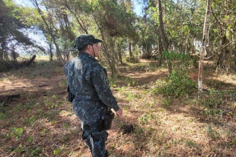 Pecuarista de Bilac é autuado por não proteger vegetação nativa