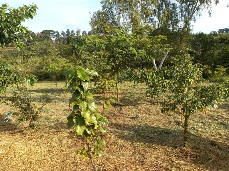 Penápolis recebe Prêmio Governador Franco Montoro por gestão da água