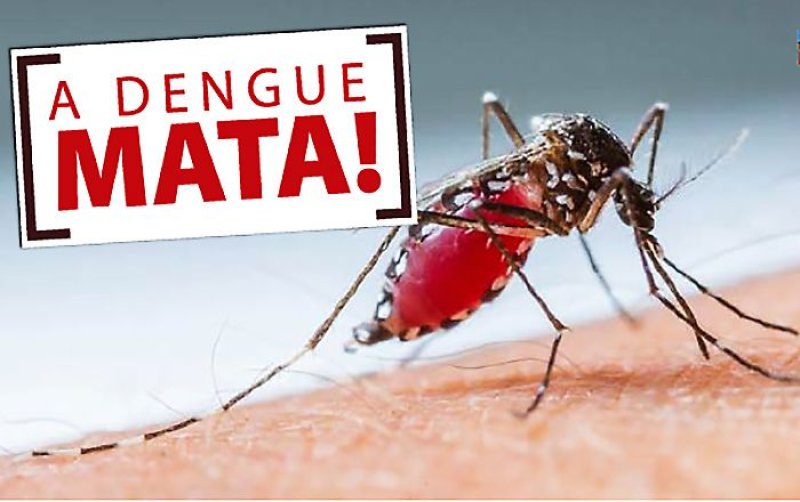 Confirmada primeira morte por dengue em Penápolis