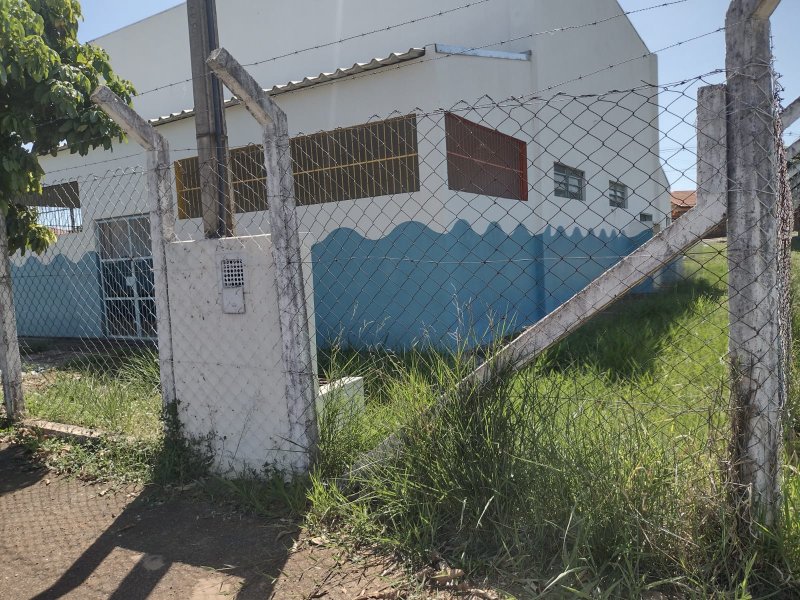 Detalhes Notícia