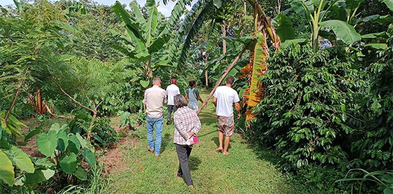 Sesc promove ações que discutem mudanças climáticas