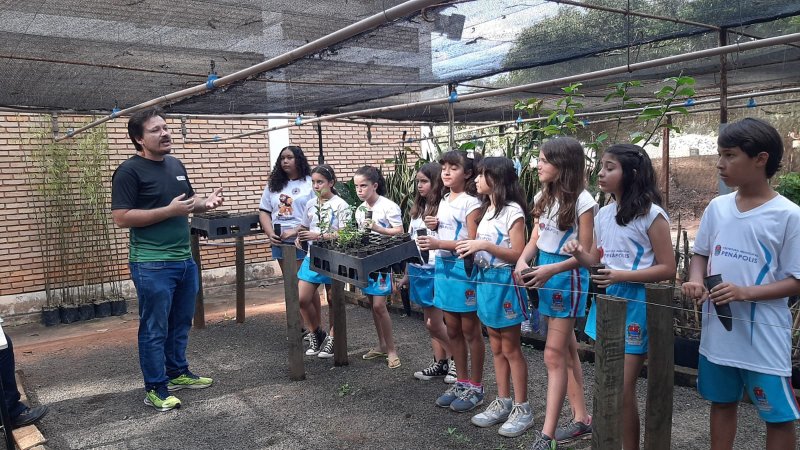 Árvores para o futuro: Projeto Semear visa desenvolver participação cidadã