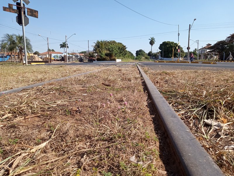 Municípios formam movimento para viabilizar exploração da linha férrea