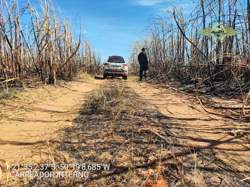 PM Ambiental: proprietários rurais são autuados após fiscalizações