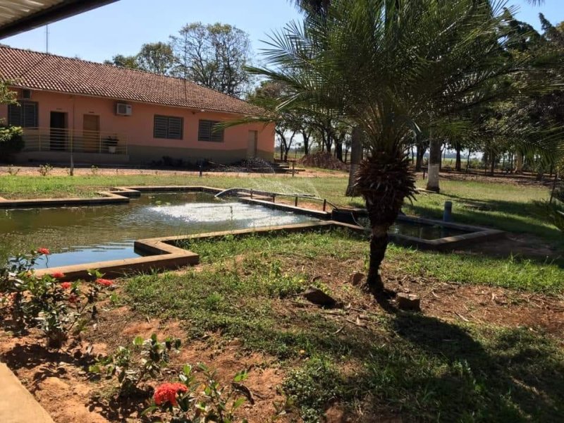 Detalhes Notícia