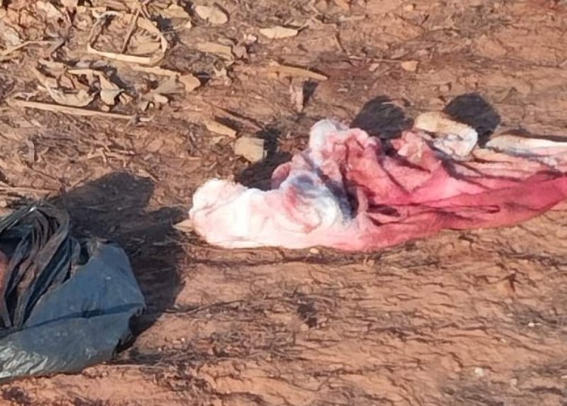 Bebê recém-nascido é encontrado morto dentro de saco plástico em canavial