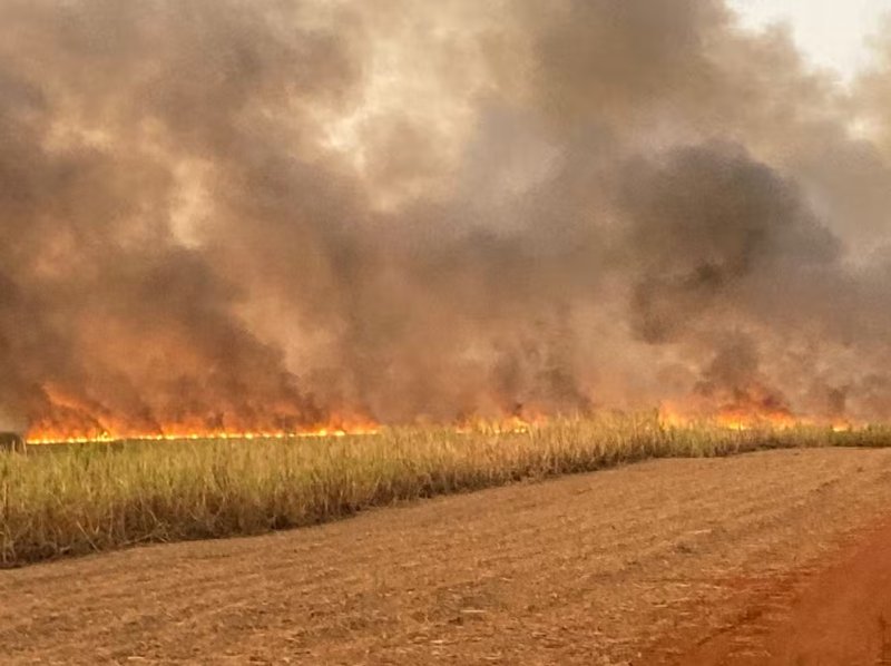 Nova queimada deixa canavial e fazenda devastados em Olímpia