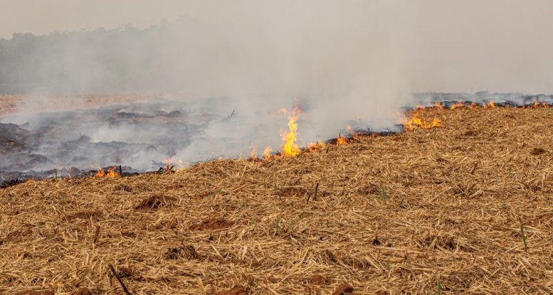 FAESP: cientistas buscam se antecipar às secas-relâmpago