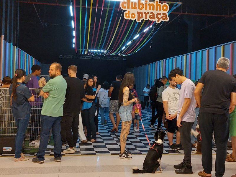 Cães da raça yorkshire são estrelas do próximo 