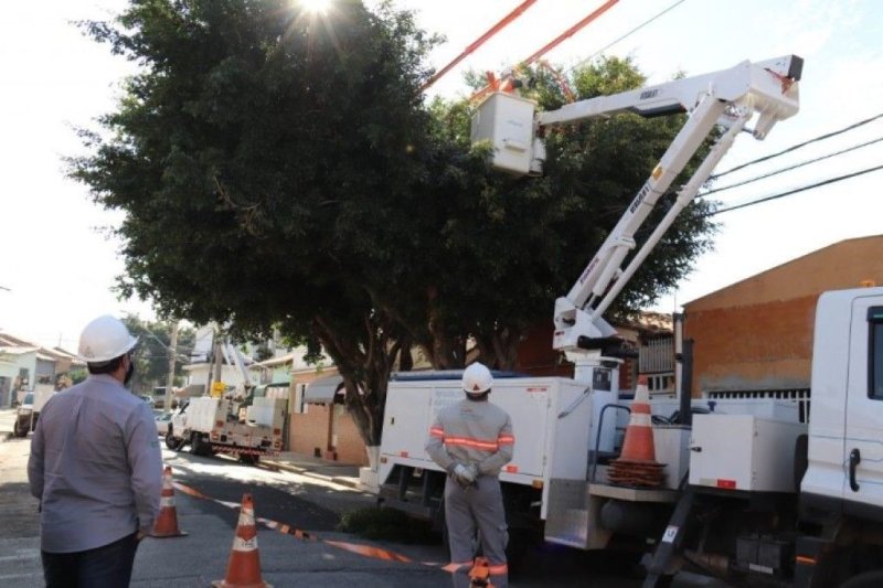 Concessionária adverte sobre riscos de acidentes na poda de vegetação em proximidades com a rede elétrica