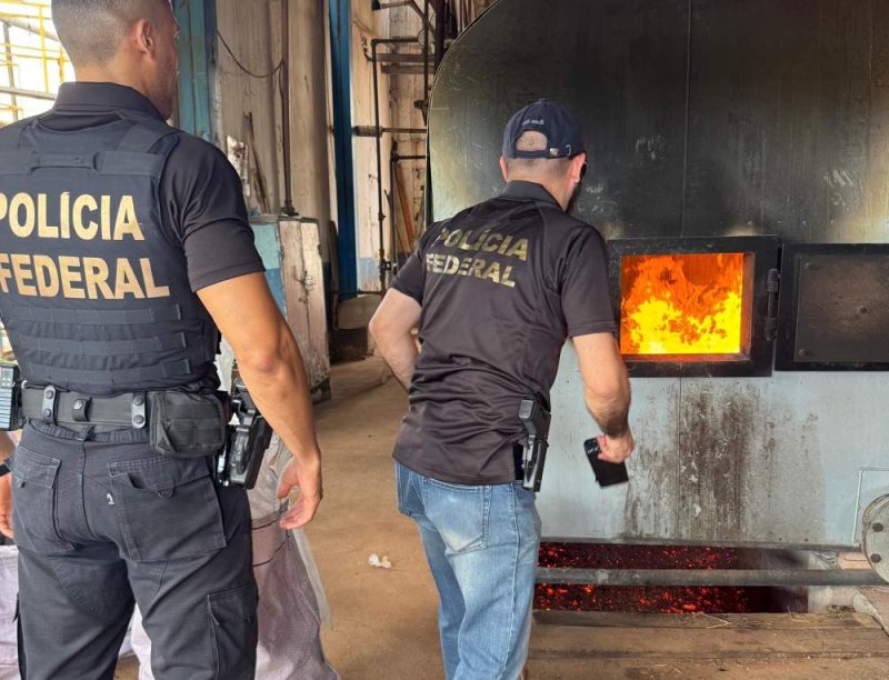 Polícia Federal apreende maconha em Penápolis