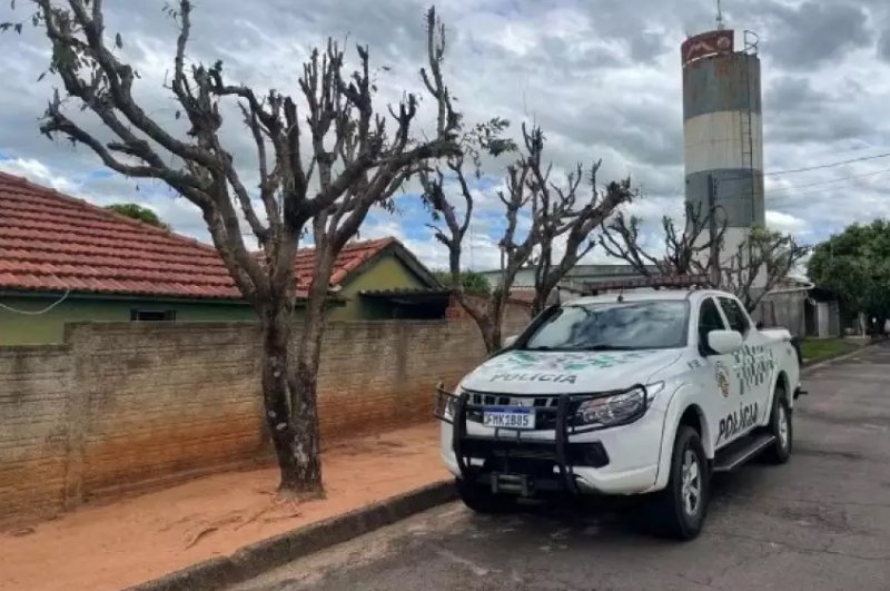 Mulher é multada em R$ 3 mil por poda irregular de árvores