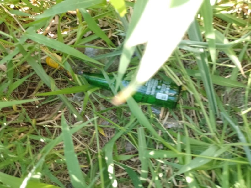 Servidores Municipais enfrentam dificuldades na manutenção do Córrego Maria Chica