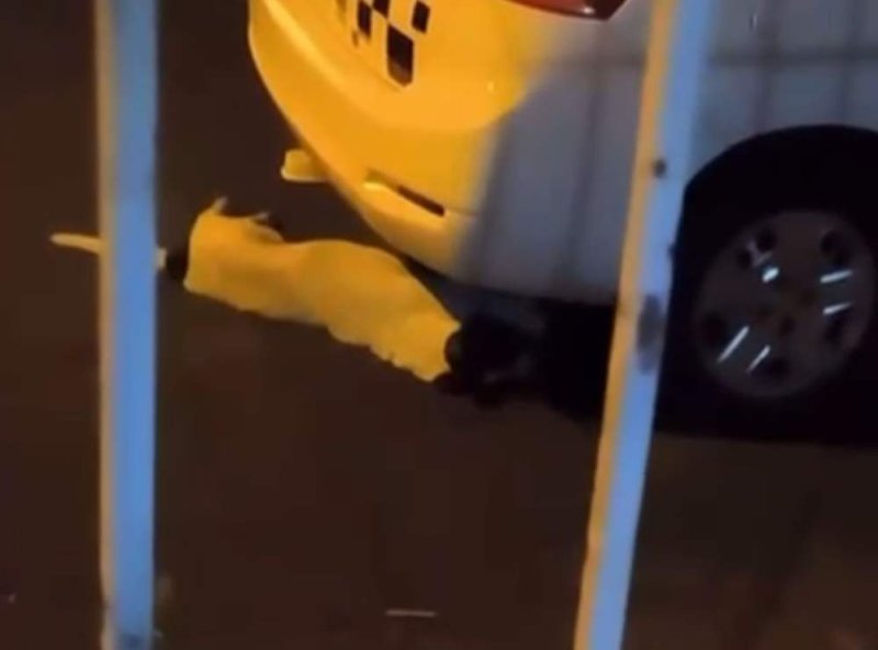 Detalhes Notícia