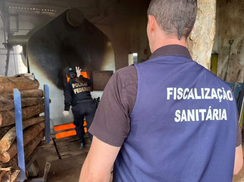 Droga apreendida no aeroporto de Penápolis é destruída pela PF