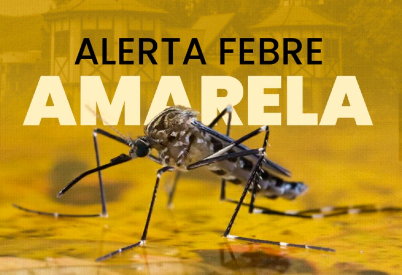 Detalhes Notícia