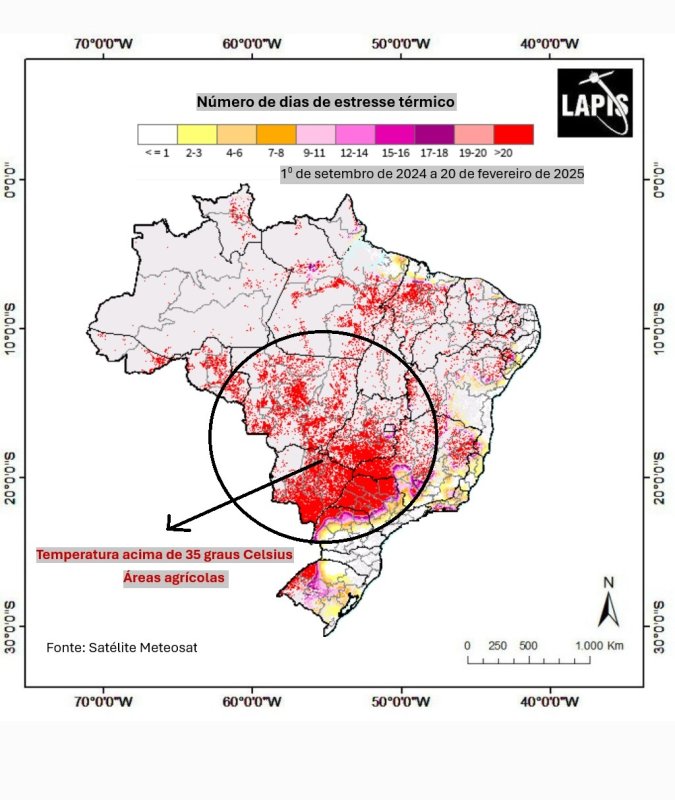 Calor extremo reforça necessidade de plantio e conservação ambiental na bacia do Ribeirão Lajeado