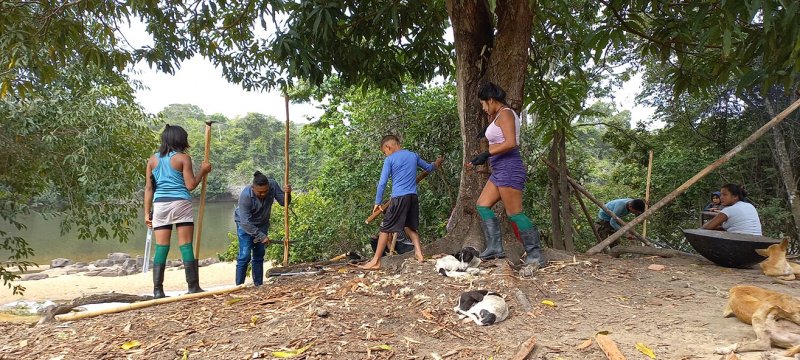 De Penápolis às fronteiras do Brasil: irmãos levam agroecologia a povos indígenas no Pará