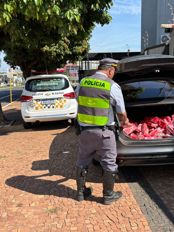 Detalhes Notícia