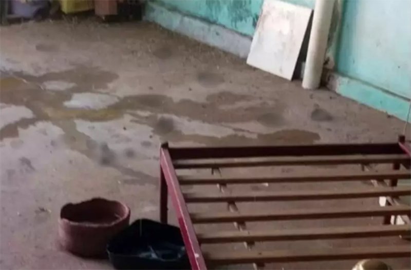 Região: mulher é atacada por pitbull em canil clandestino