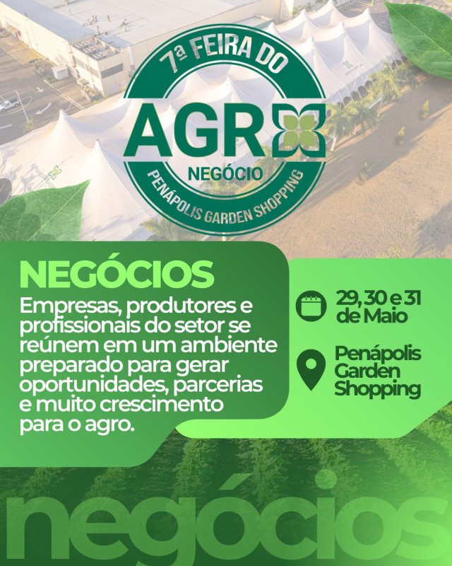Detalhes Notícia
