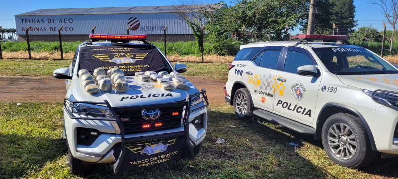 Casal é preso com 12 quilos de skank em rodovia