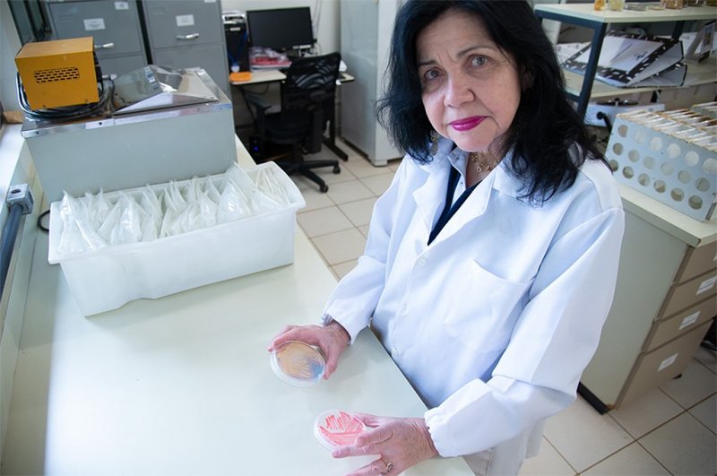 Sindicato Rural de Penápolis celebra pesquisadora brasileira que impulsiona agricultura sustentável