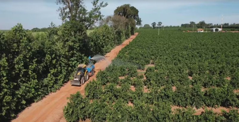 Produtores tentam se proteger contra ameaça de incêndios na seca