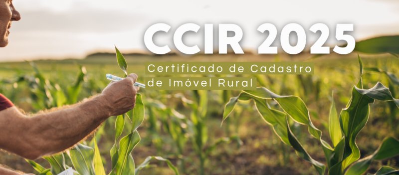 Sindicato Rural de Penápolis alerta produtores sobre o prazo final para emissão do CCIR 2025