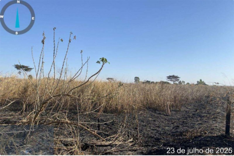 Queimada em pastagem rende multa de R$ 25 mil a proprietário