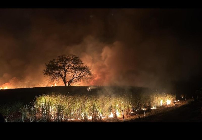 Há 2 dias fogo consome zona rural de Alto Alegre e preocupa moradores