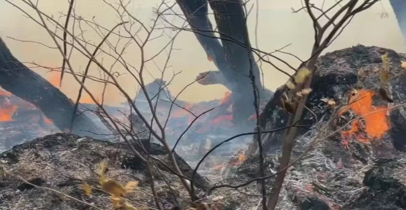 Fogo na zona rural de Alto Alegre é controlado após cinco dias de combate