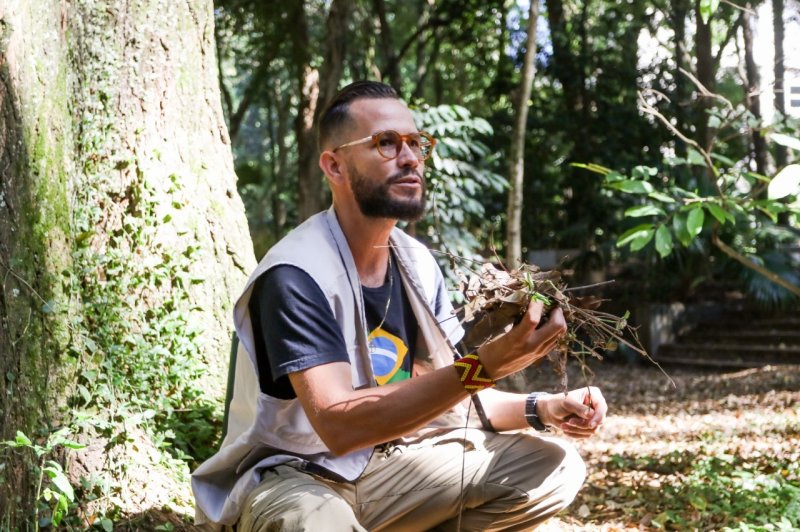 Dia da Árvore: Ambientalista destaca a importância dos Guardiões Silenciosos do planeta