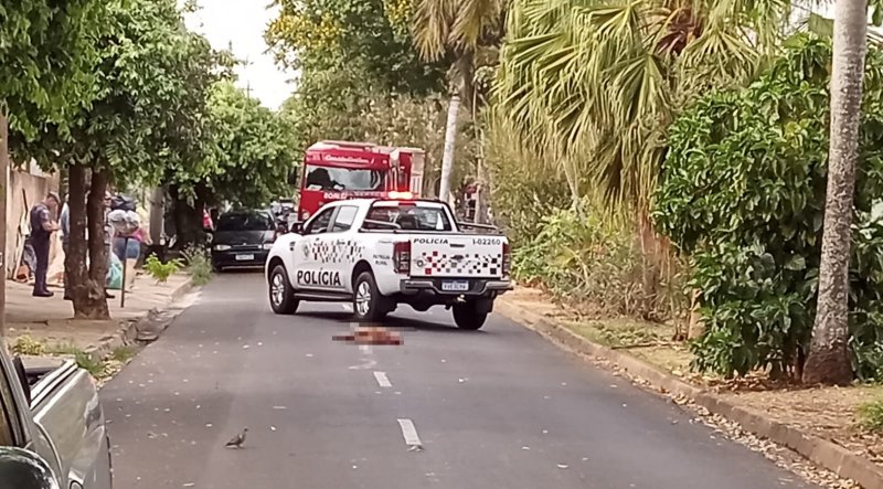 Pit Bull morre atropelado após atacar e matar outros cachorros no bairro Cidade Jardim