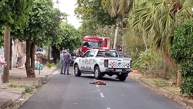 Pit Bull solto na rua mata outros cães e morre atropelado