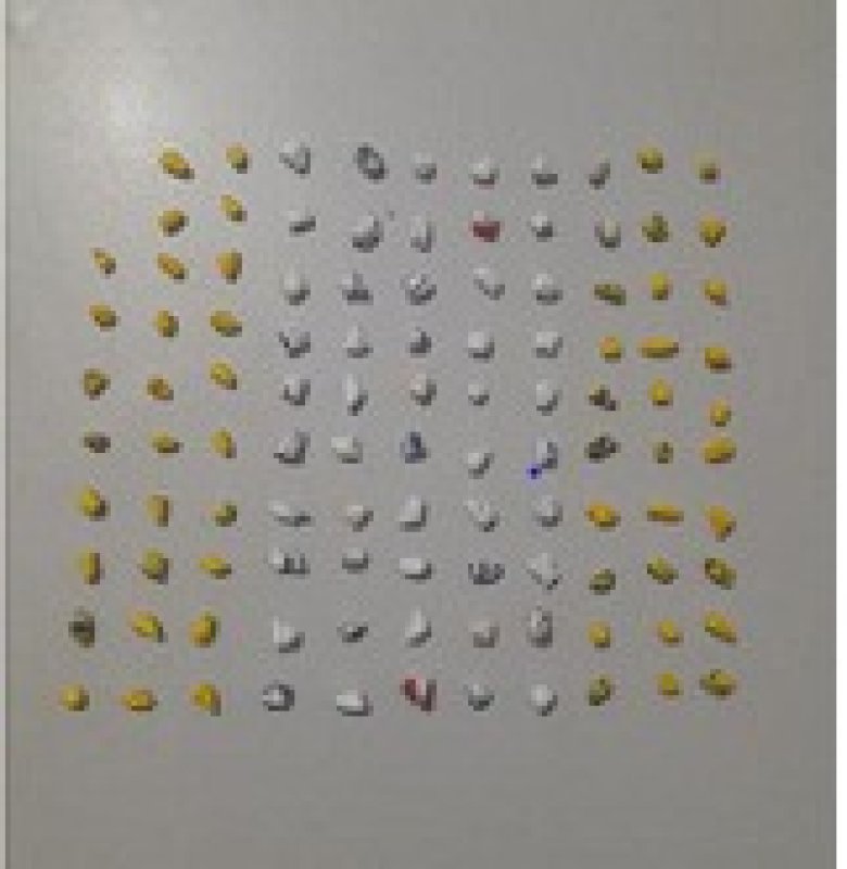 Acusado de tráfico é preso pela PM no Jardim Ipê