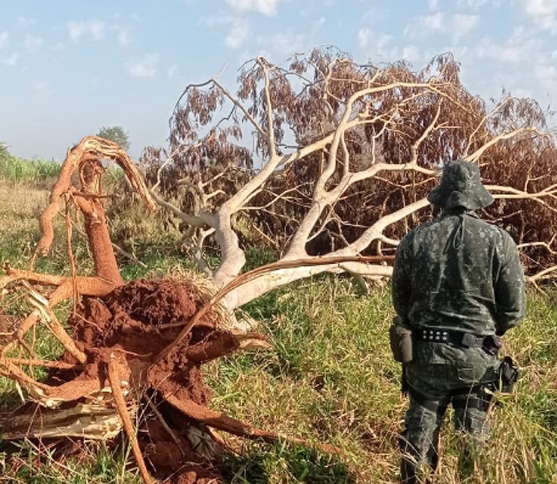 PM Ambiental de Penápolis autua proprietário de fazenda da comarca em mais de R$ 500 mil
