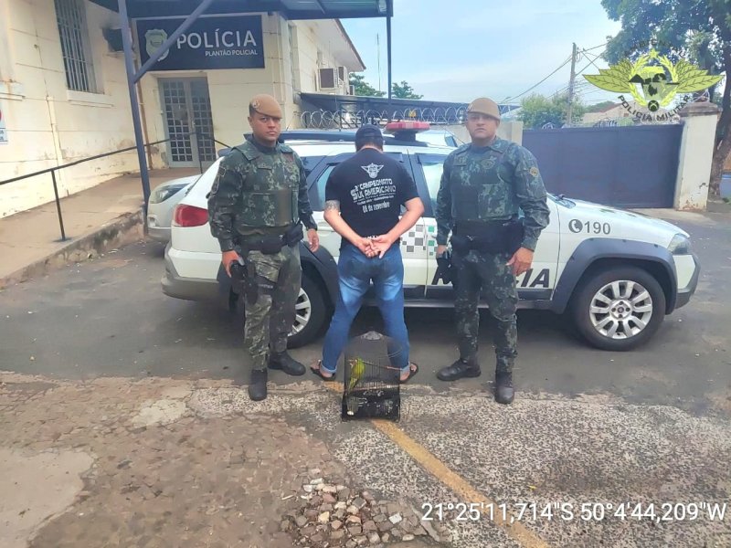 Homem procurado é preso e ave é apreendida em Avanhandava